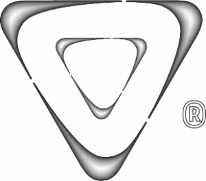 Martial Arts Academy Enschede - Logo Platinum