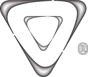 Martial Arts Academy Enschede - Logo Platinum