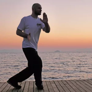 EWO WingTczun - Header, Sifu Edgar Zimmermann performs the Saam Paai Fut form