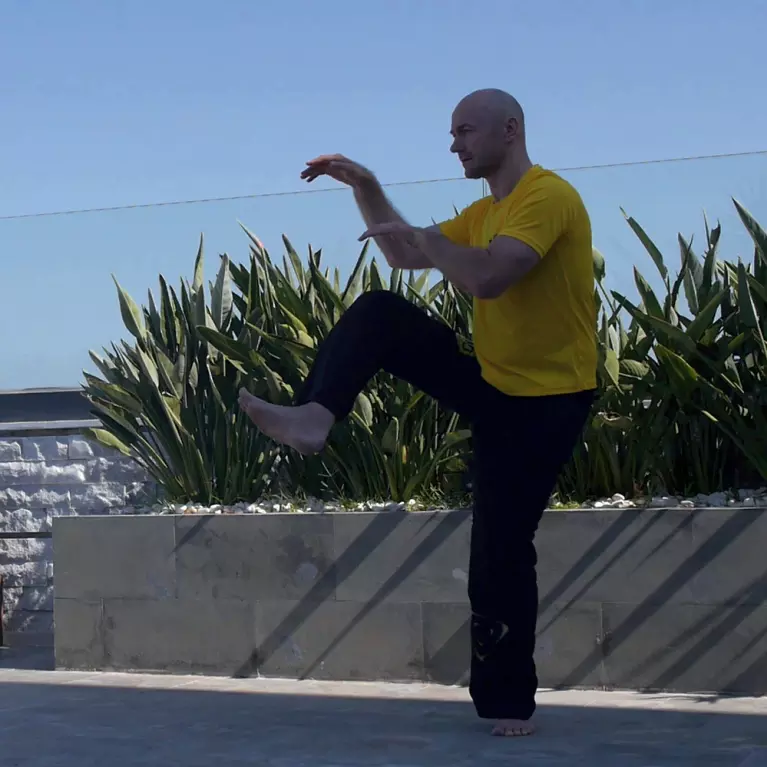 EWO WingTczun - Sifu Edgar Zimmermann performs the pre-1850 Siu Lien Tau form