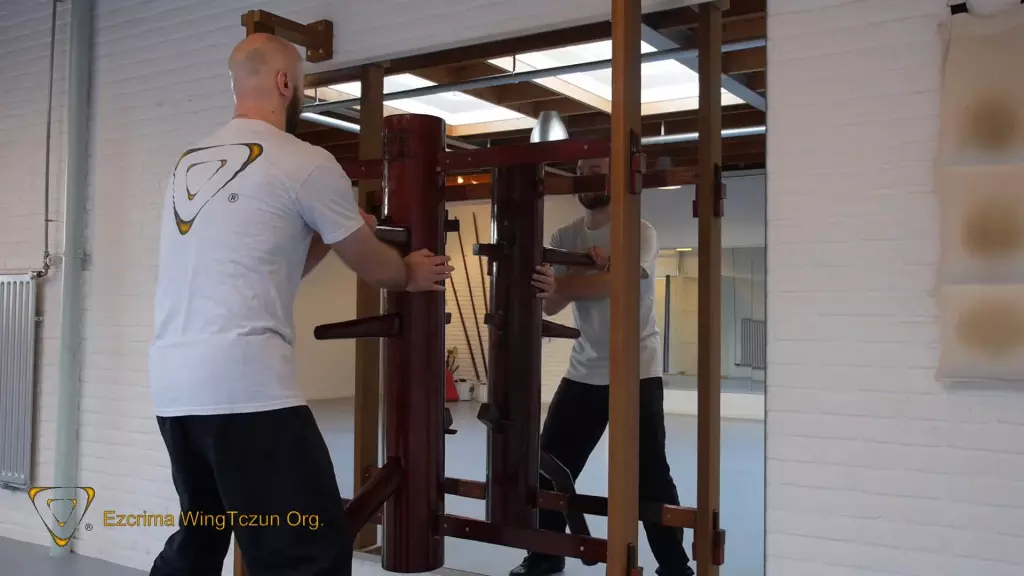 Wooden Dummy Training